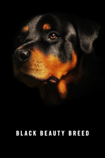 Poster of Black Beauty Breed