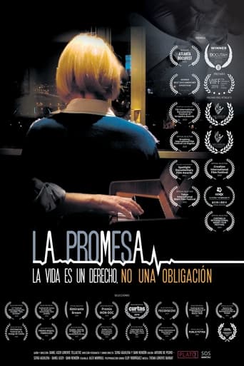 Poster of La promesa