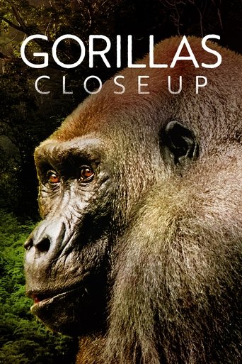 Poster of Gorillas Close Up