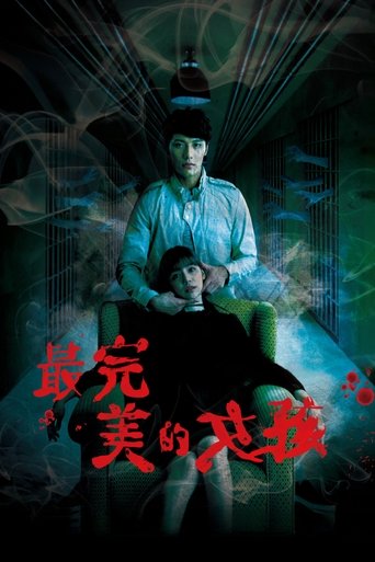 Poster of The Perfect Girl