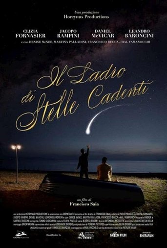 Poster of Il ladro di stelle cadenti