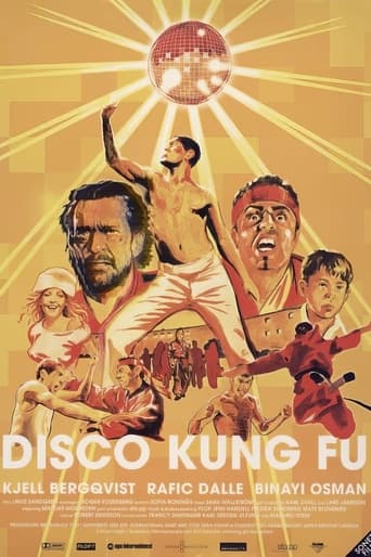 Poster of Disco Kung Fu