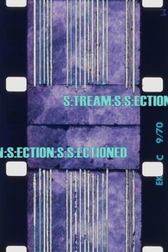 Poster of S:TREAM:S:S:ECTION:S:ECTION:S:S:ECTIONED