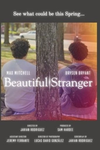 Poster of Beautiful Stranger