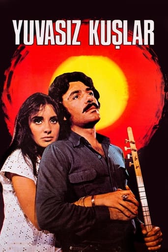 Poster of Yuvasız Kuşlar