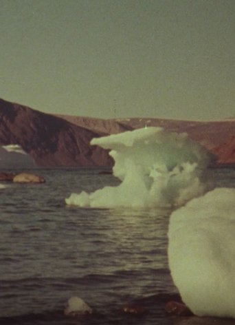 Poster of Jenny's Arctic Diary