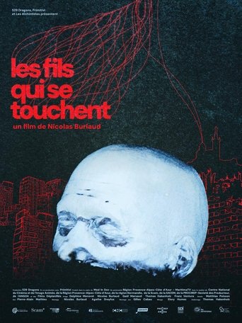 Poster of Les fils qui se touchent