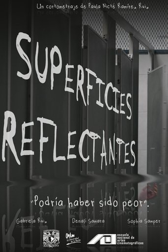 Poster of Reflective Surfaces