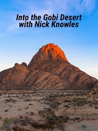 Poster of Into the Gobi Desert with Nick Knowles