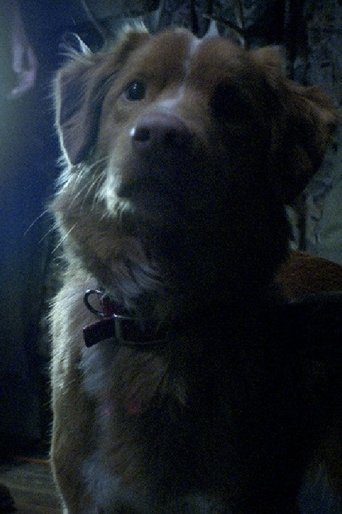 Portrait of Indy