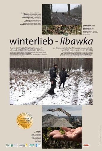 Poster of winterlieb - libawka