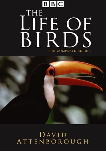 Poster of The Life of Birds