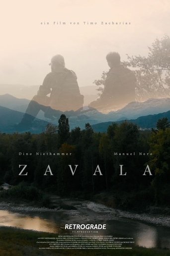 Poster of Zavala