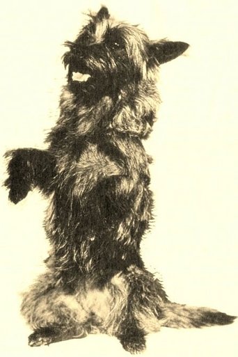 Portrait of Terry