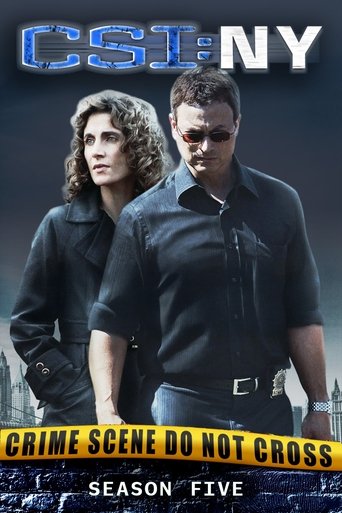 Portrait for CSI: NY - Season 5