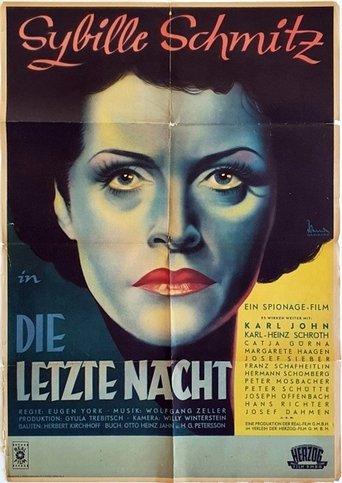 Poster of The Last Night