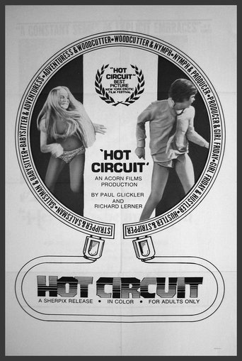 Poster of Hot Circuit