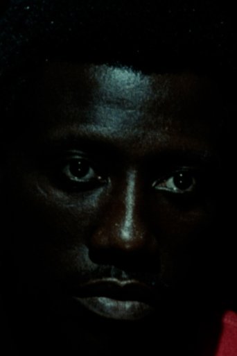 Poster of Another Other