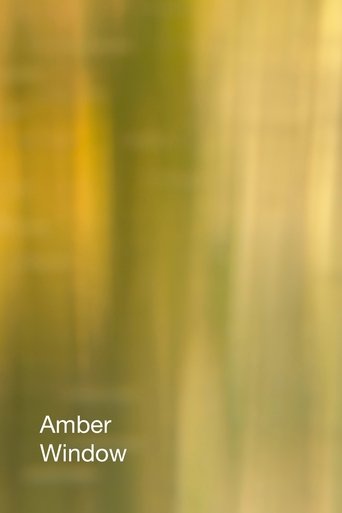 Poster of Amber Window