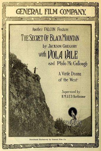 Poster of The Secret of Black Mountain