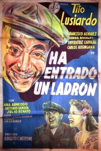 Poster of Ha entrado un ladrón