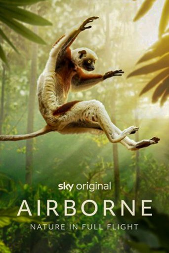 Poster of Airborne