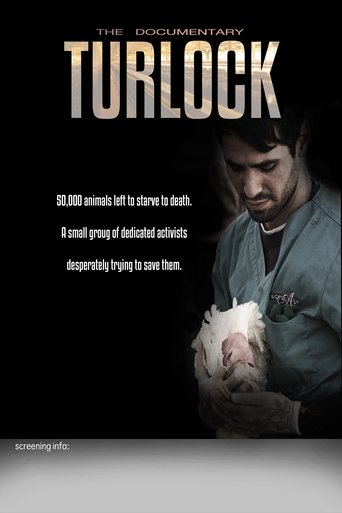 Poster of Turlock