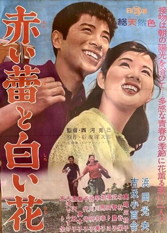 Poster of Red Bud and White Flower