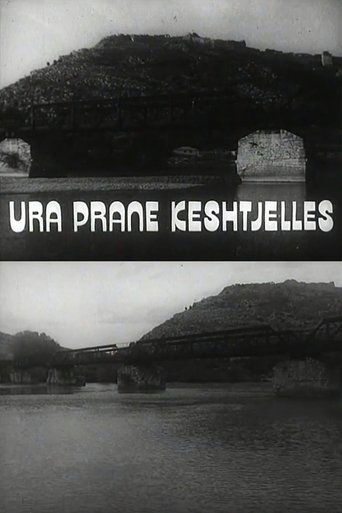 Poster of The Bridge Under the Castle