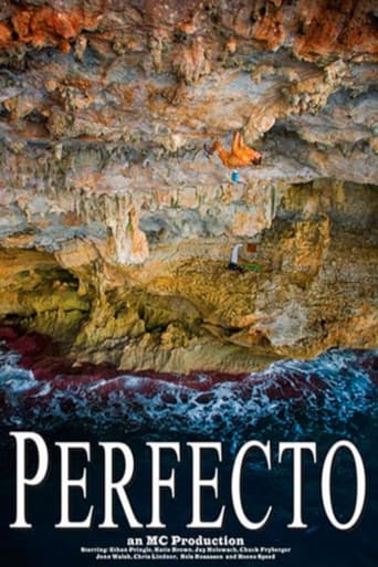 Poster of Perfecto