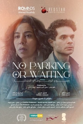 Poster of No Parking or Waiting