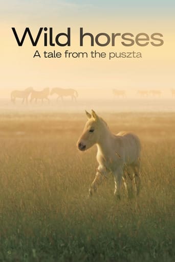 Poster of Wild Horses - A Tale From The Puszta