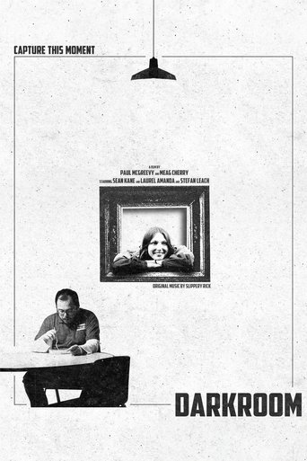 Poster of Darkroom