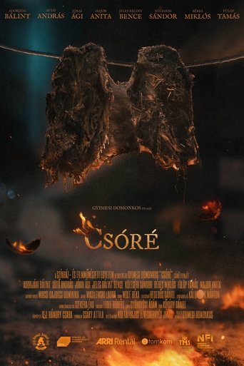 Poster of Csóré