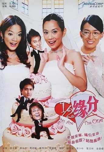 Poster of 二分之一缘分
