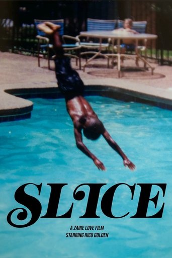 Poster of Slice