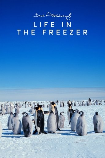 Portrait for Life in the Freezer - Miniseries