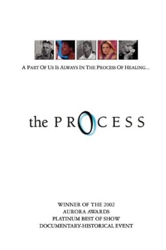 Poster of The Process