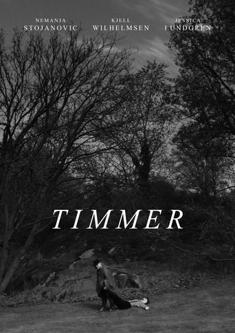 Poster of Timmer