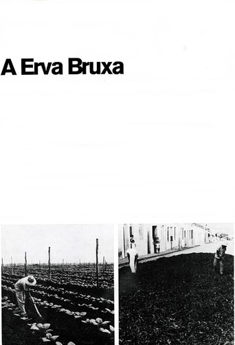 Poster of A Erva Bruxa