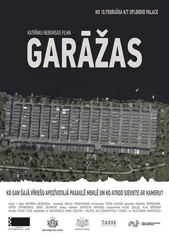 Poster of The Garages