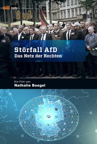 Poster of Störfall AfD – Das Netz der Rechten