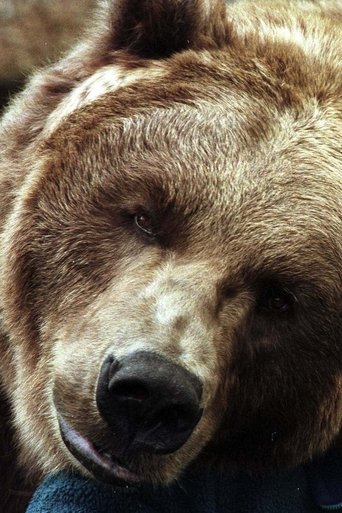 Portrait of Bart the Bear