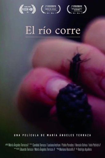 Poster of El río corre