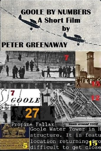 Poster of Goole by Numbers