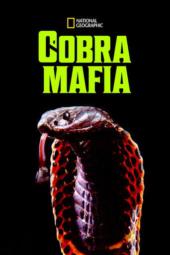 Poster of Cobra Mafia