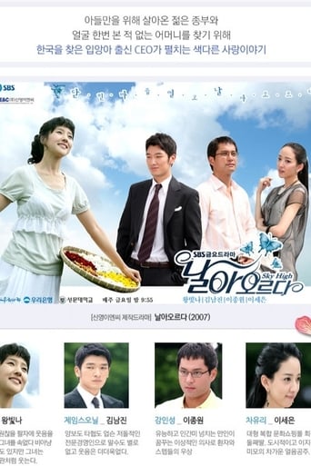 Poster of Fly To The Sky