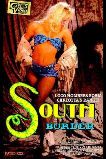 Poster of South of the Border