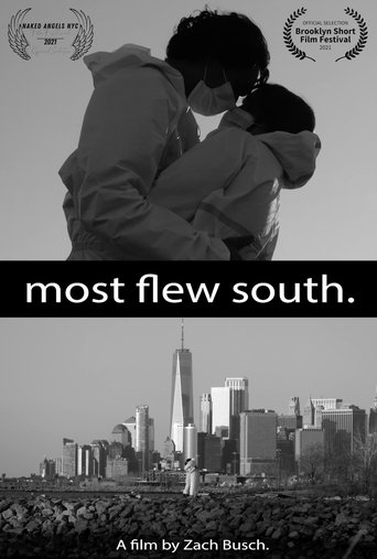 Poster of Most Flew South