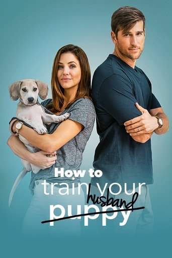 Poster of How to Train Your Husband